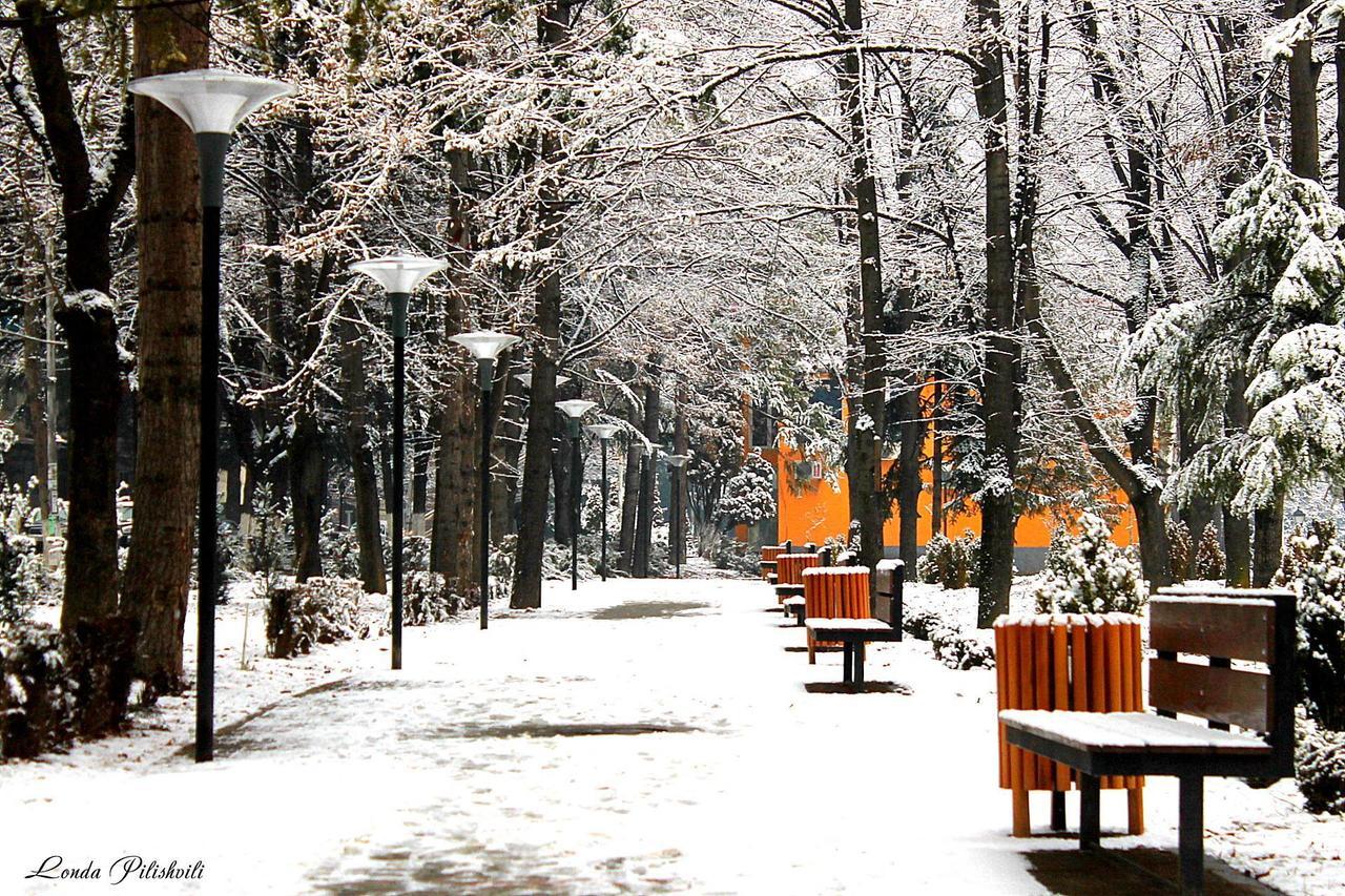 El-Mi Hotel Borjomi Exterior photo